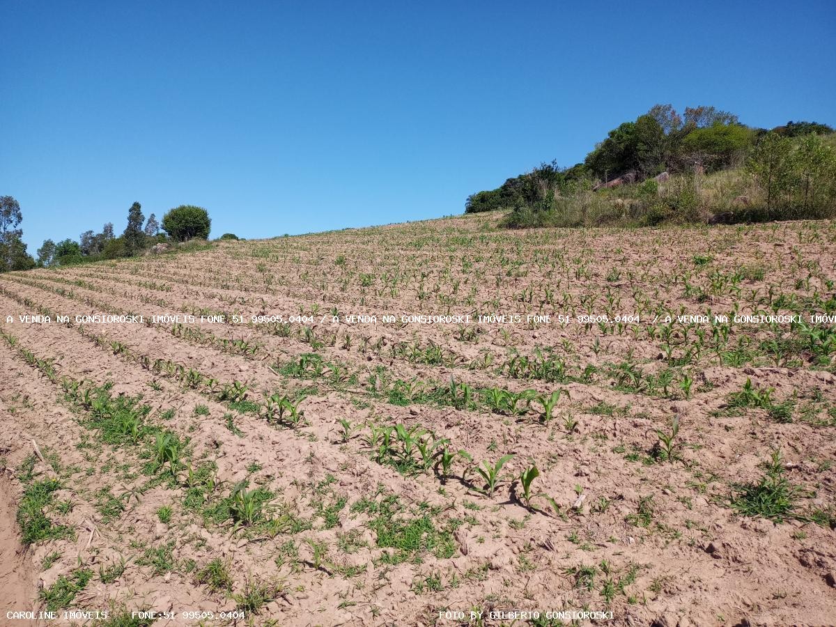 Loteamento e Condomínio à venda, 15500m² - Foto 10
