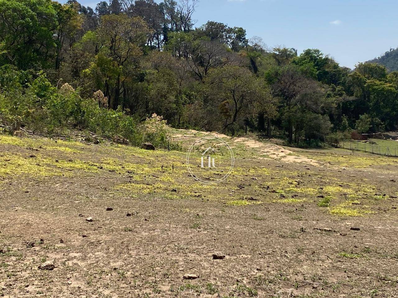 Terreno, 2 hectares - Foto 19