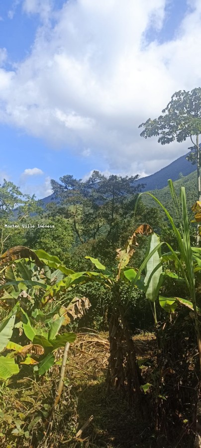 Terreno, 2 hectares - Foto 1