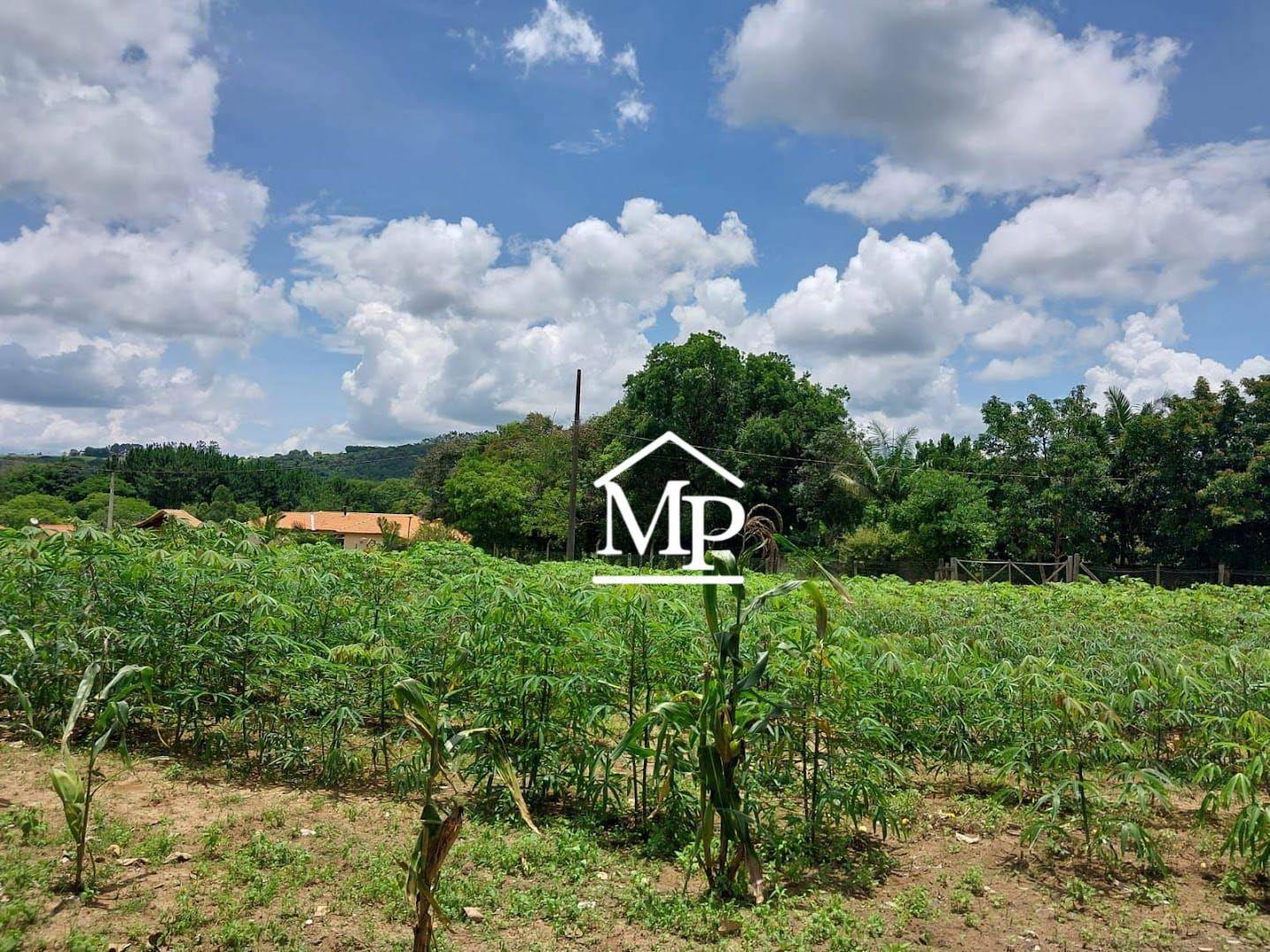 Chácara, 4 quartos, 6548 m² - Foto 17