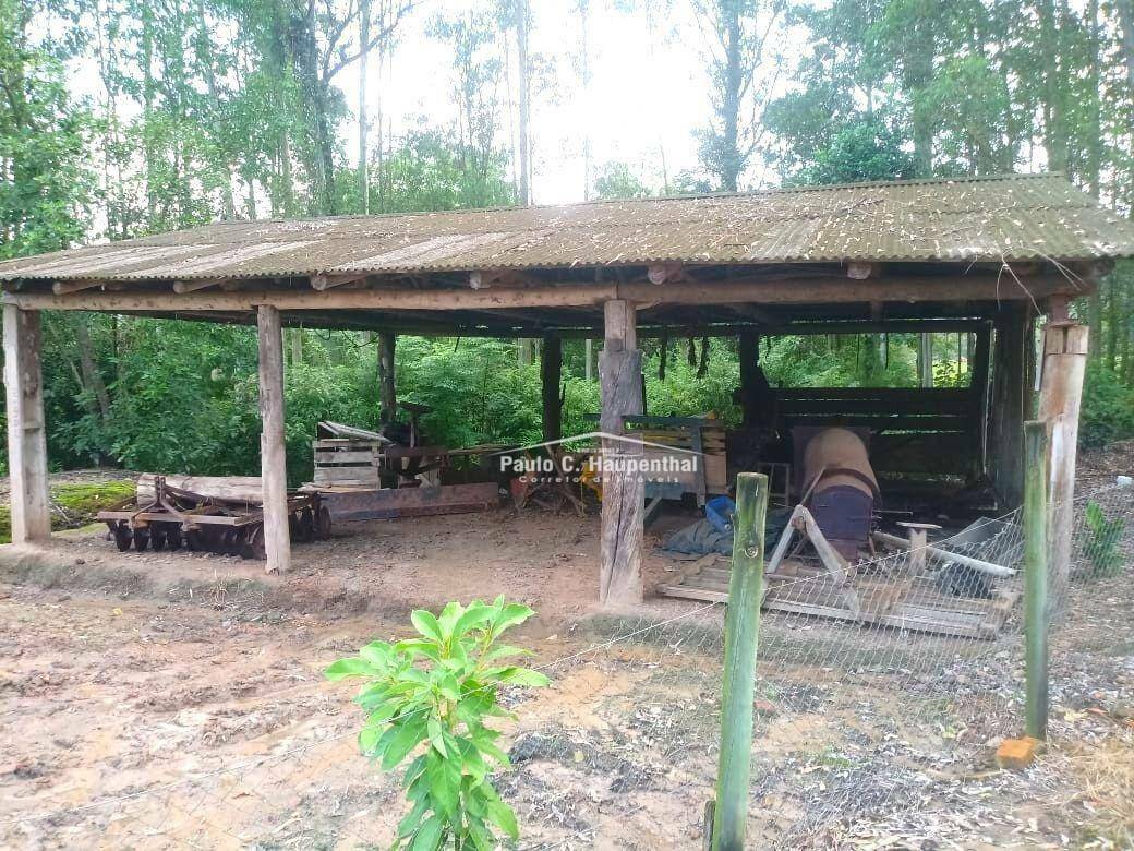 Chácara à venda com 4 quartos, 15000M2 - Foto 10