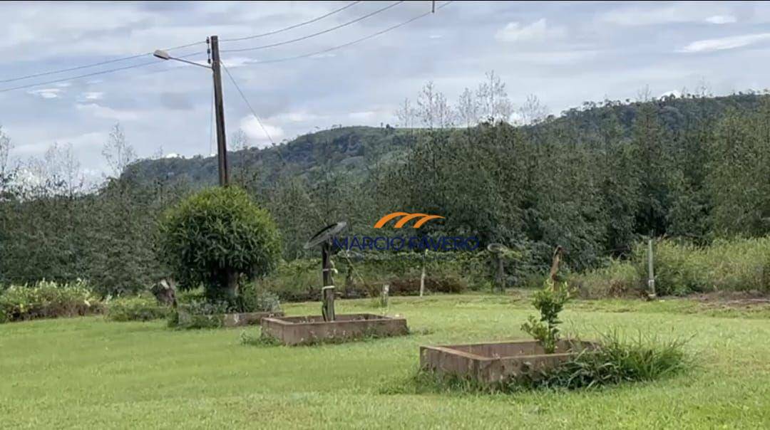 Fazenda, 148 hectares - Foto 3