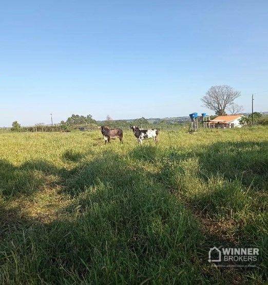 Chácara à venda com 1 quarto, 10000M2 - Foto 10