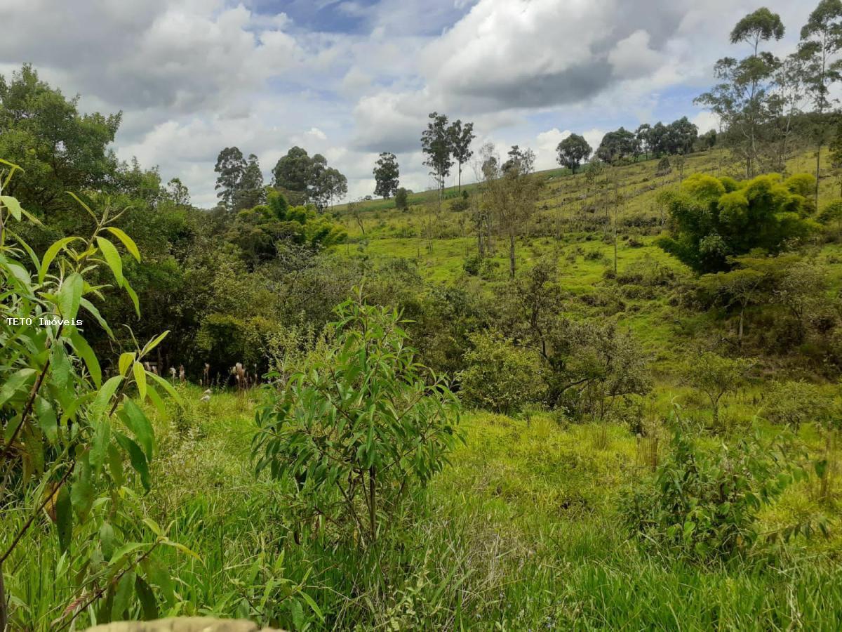 Fazenda à venda, 4m² - Foto 34