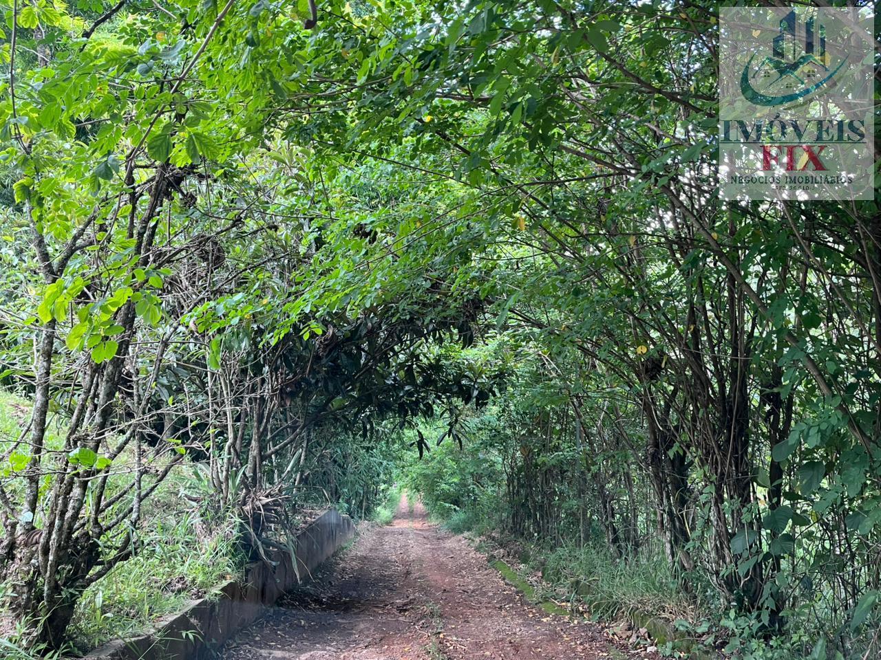 Fazenda à venda com 4 quartos, 200m² - Foto 46