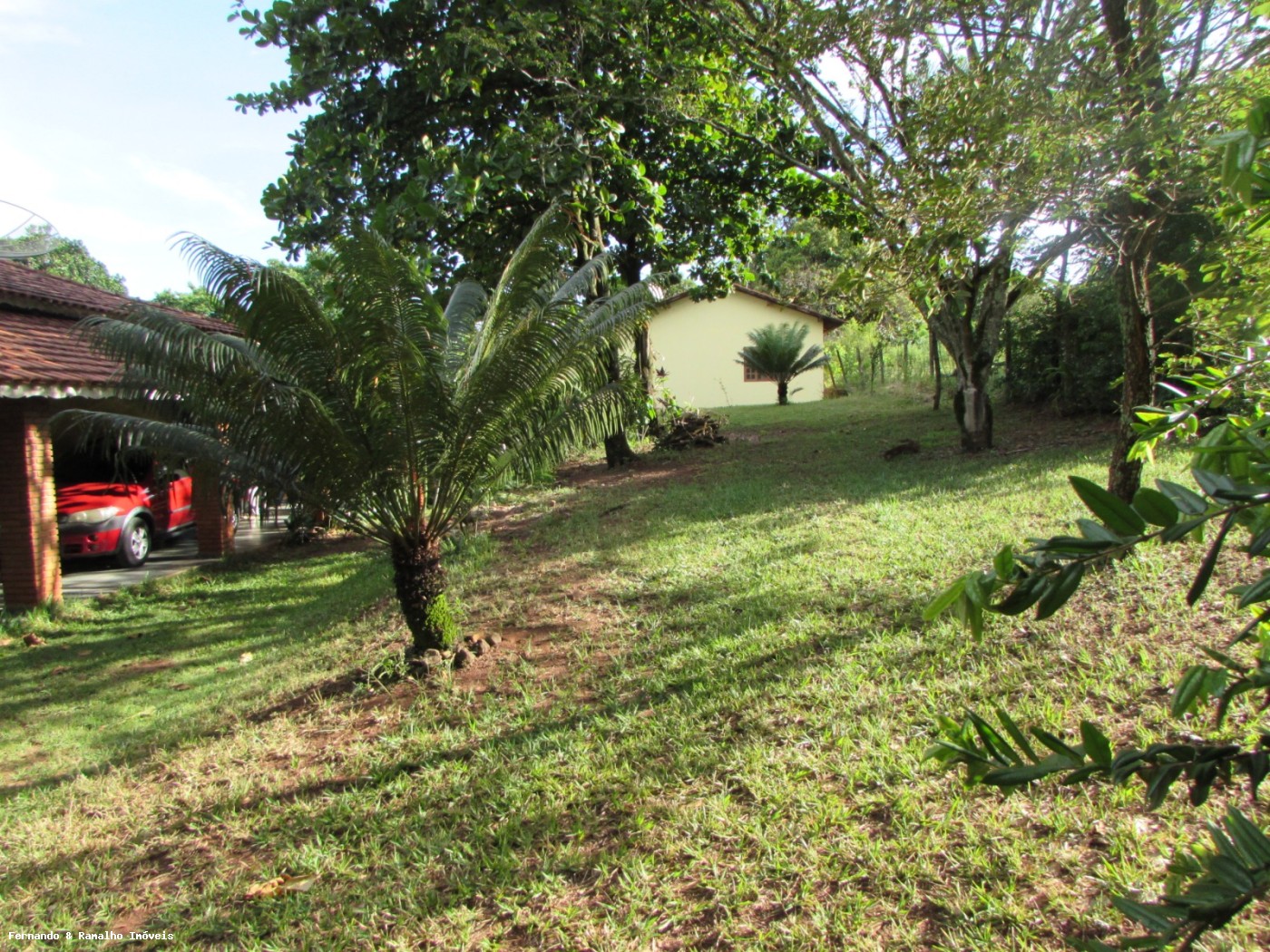 Chácara à venda com 6 quartos, 6000m² - Foto 9