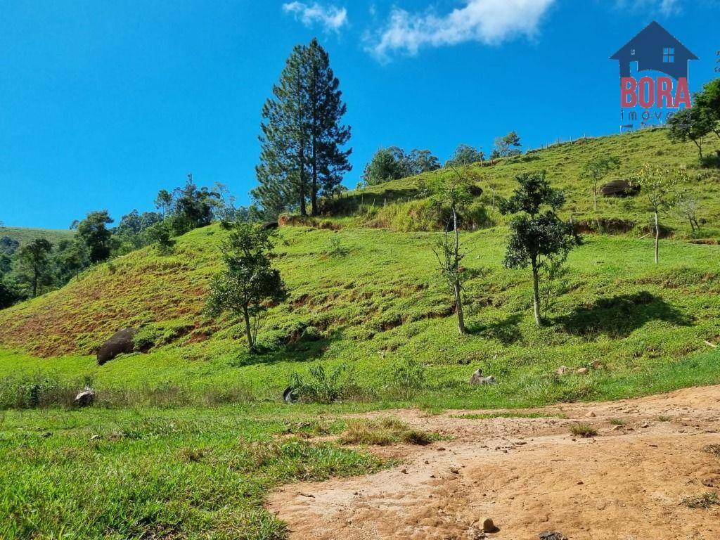 Fazenda à venda com 2 quartos, 1113200M2 - Foto 21