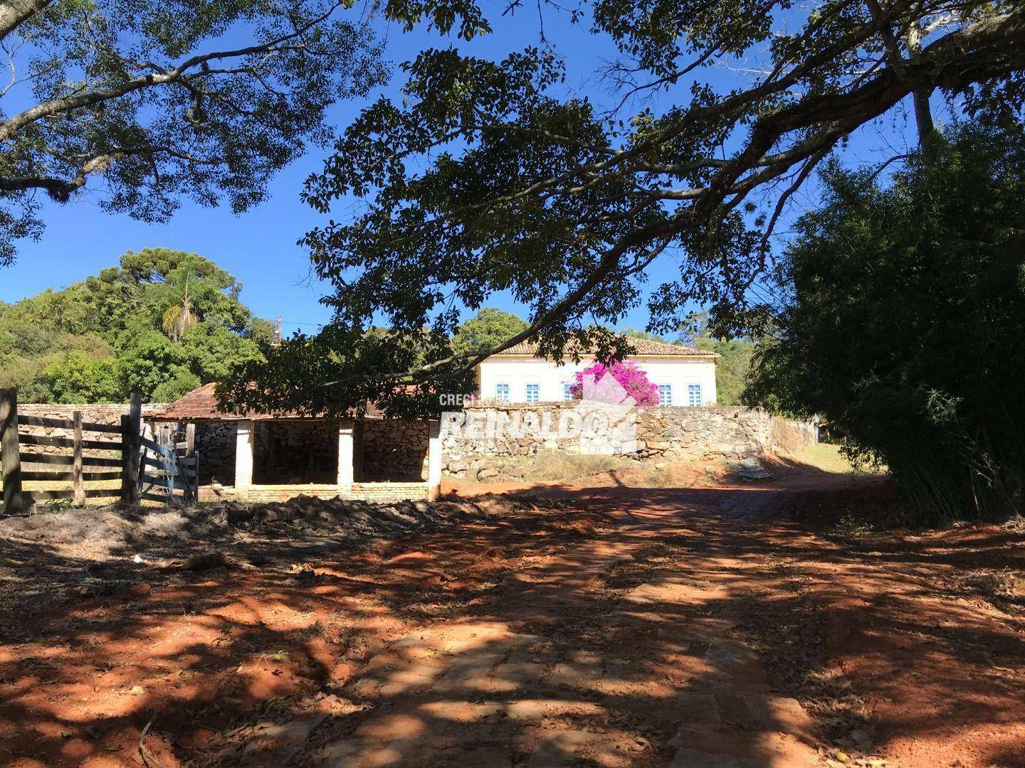 Fazenda à venda com 8 quartos, 950m² - Foto 29