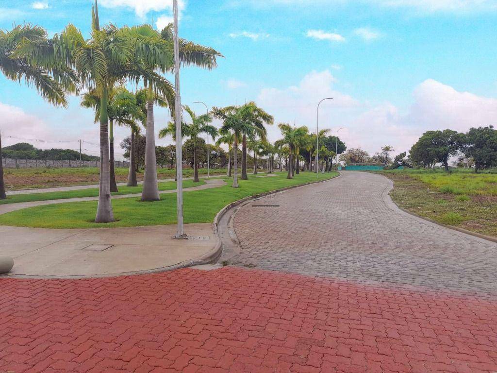 Loteamento e Condomínio, 234 m² - Foto 43