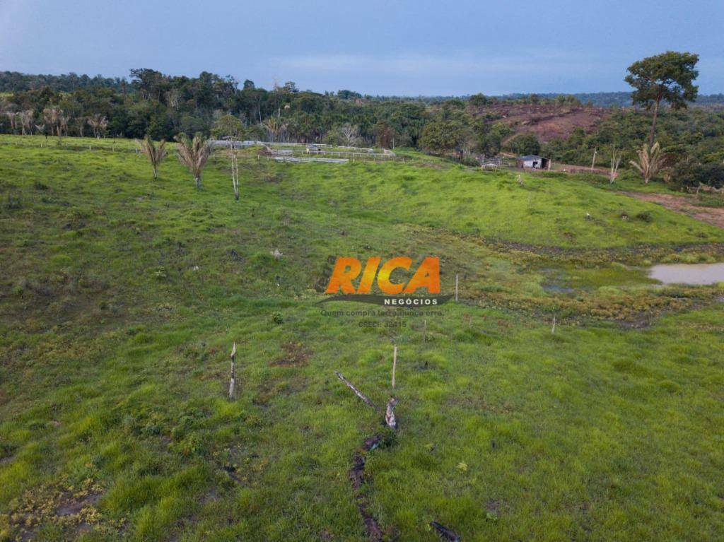 Fazenda à venda com 3 quartos, 4800000M2 - Foto 7