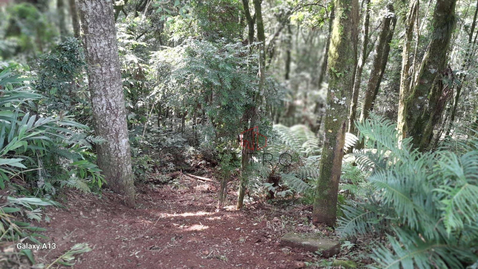 Terreno à venda, 922M2 - Foto 8