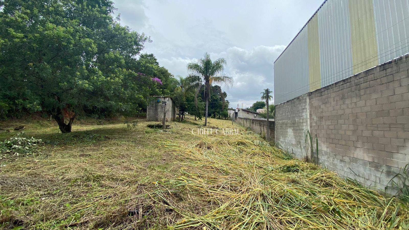 Terreno à venda, 5000M2 - Foto 3