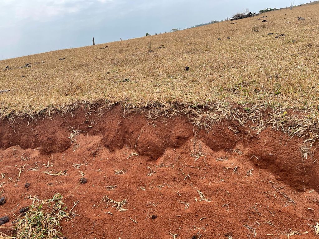 Fazenda à venda, 41140000M2 - Foto 32