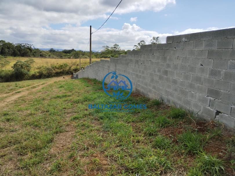 Fazenda à venda com 2 quartos, 20000m² - Foto 5