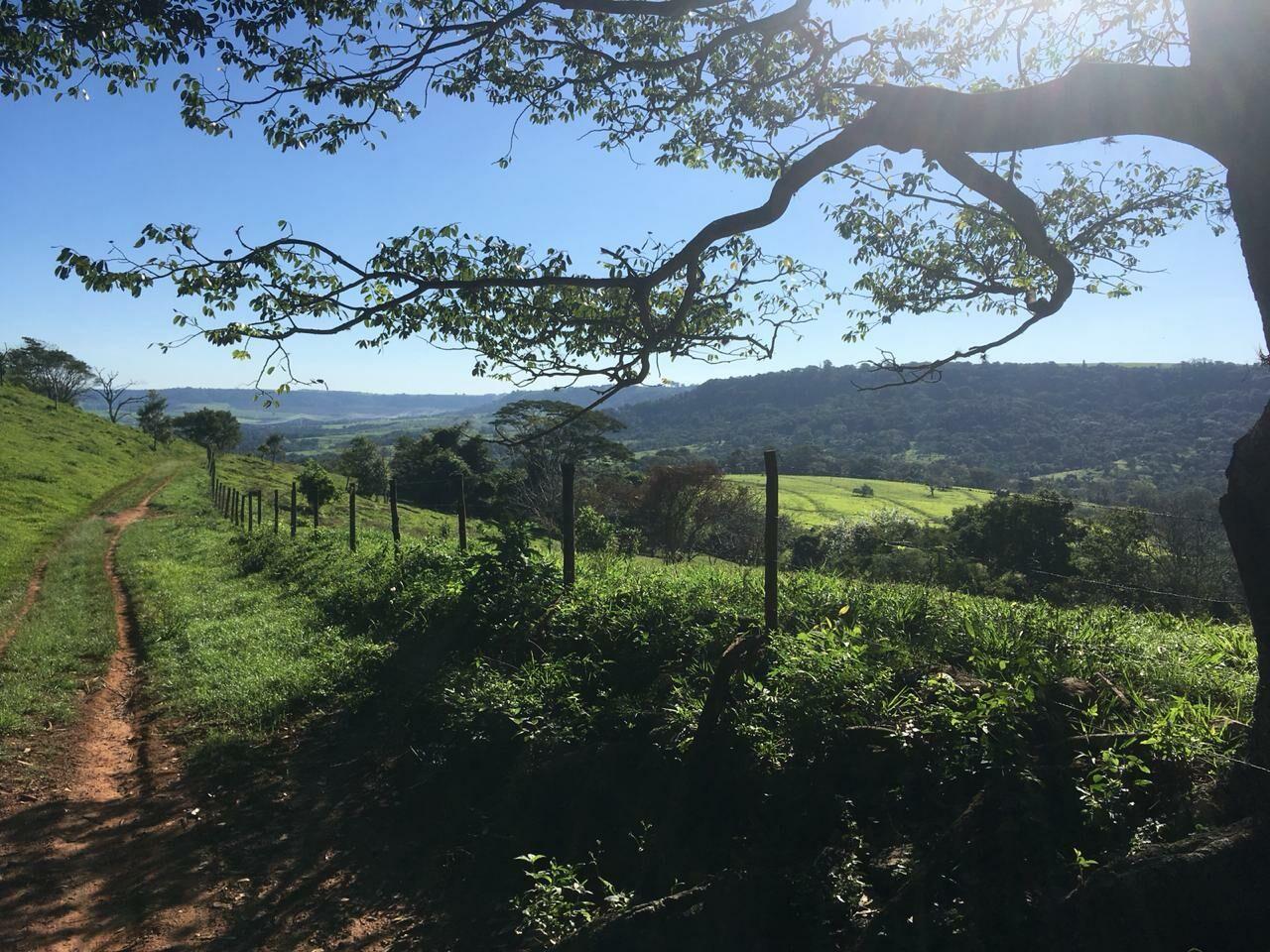 Loteamento e Condomínio à venda - Foto 4