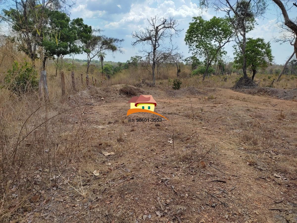 Fazenda à venda, 1m² - Foto 10