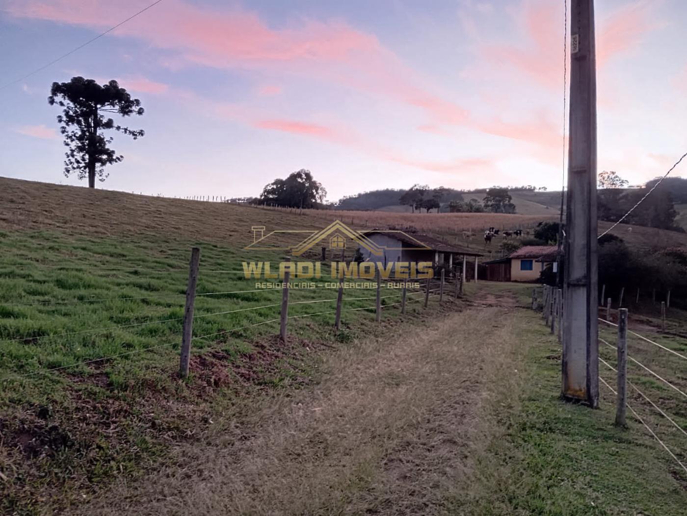 Fazenda à venda, 7m² - Foto 6