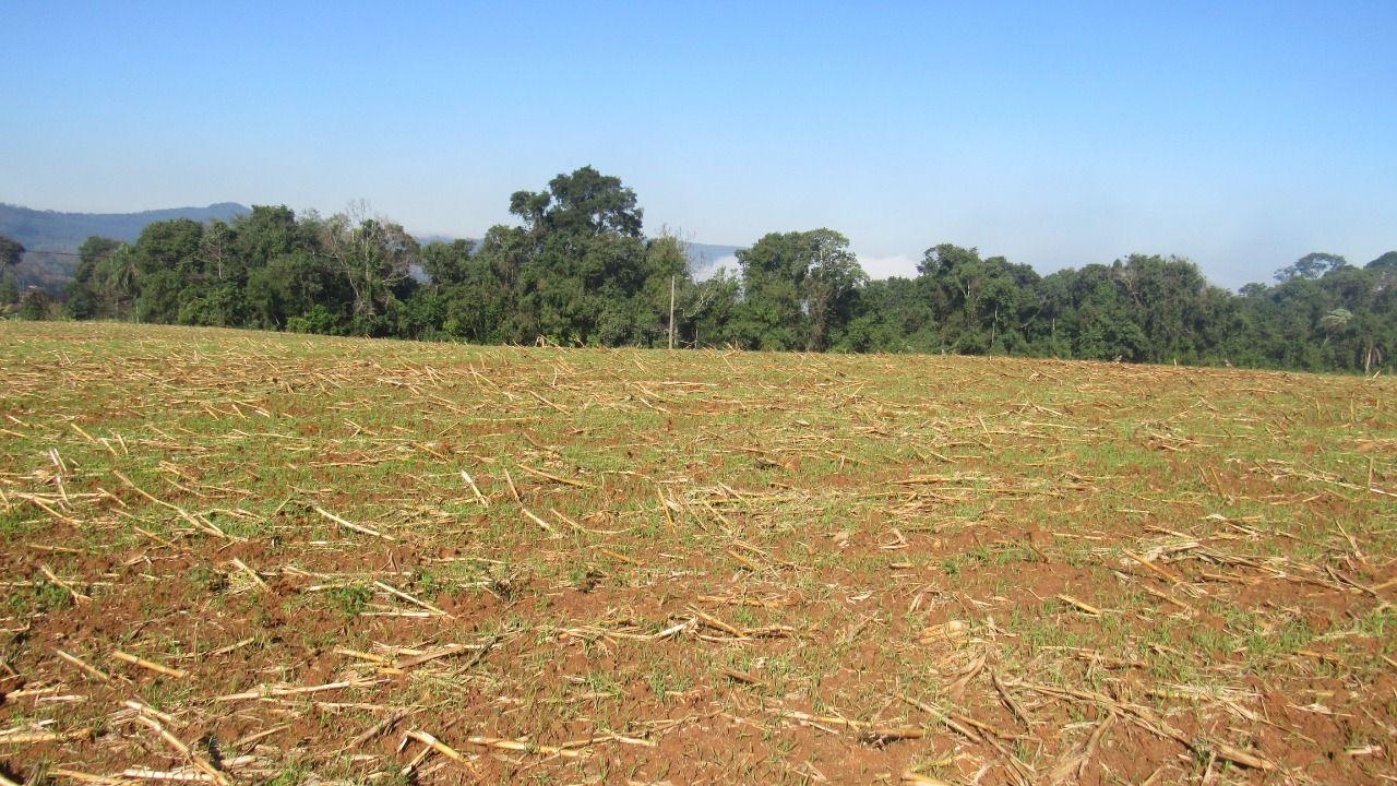 Terreno à venda, 18919m² - Foto 4