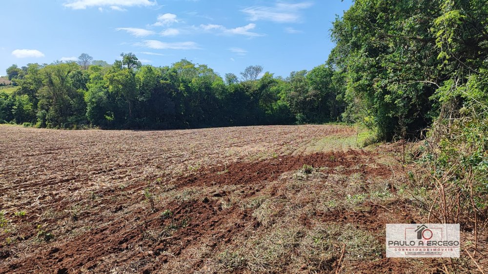 Fazenda à venda, 54000m² - Foto 7