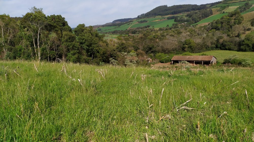 Fazenda à venda com 4 quartos, 12m² - Foto 19