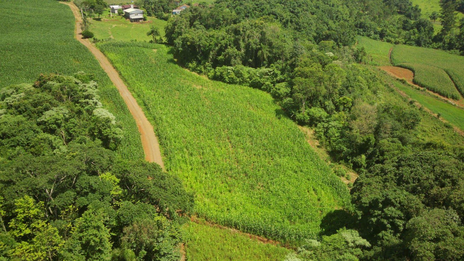 Loteamento e Condomínio à venda, 90000m² - Foto 6