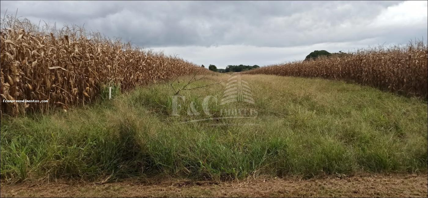 Terreno à venda, 64000m² - Foto 7