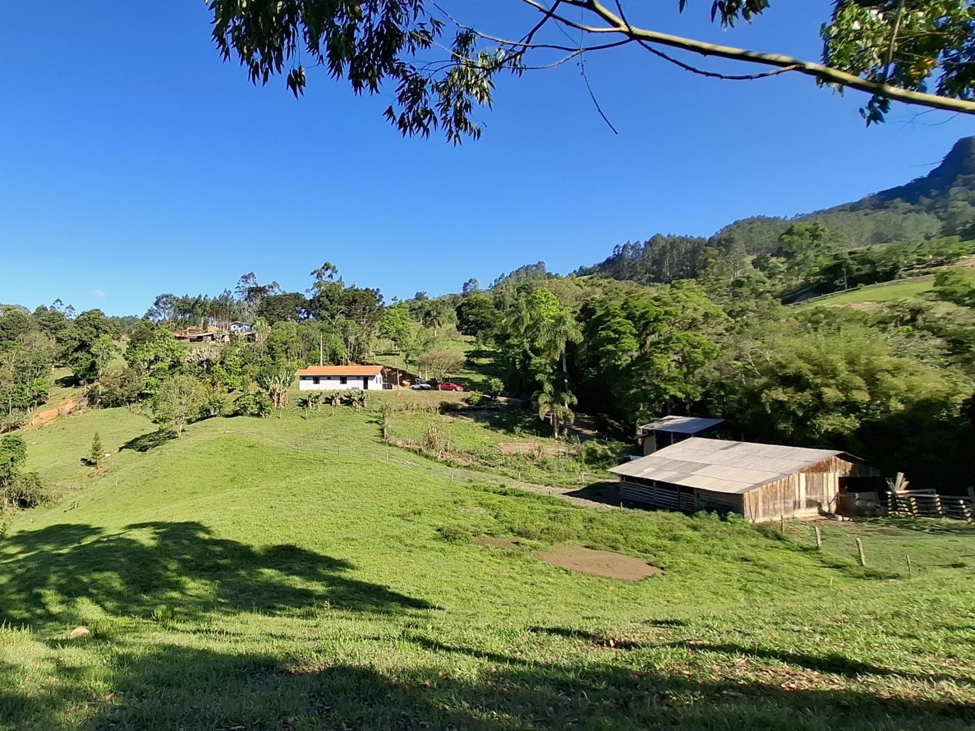 Fazenda à venda com 3 quartos, 90000m² - Foto 34