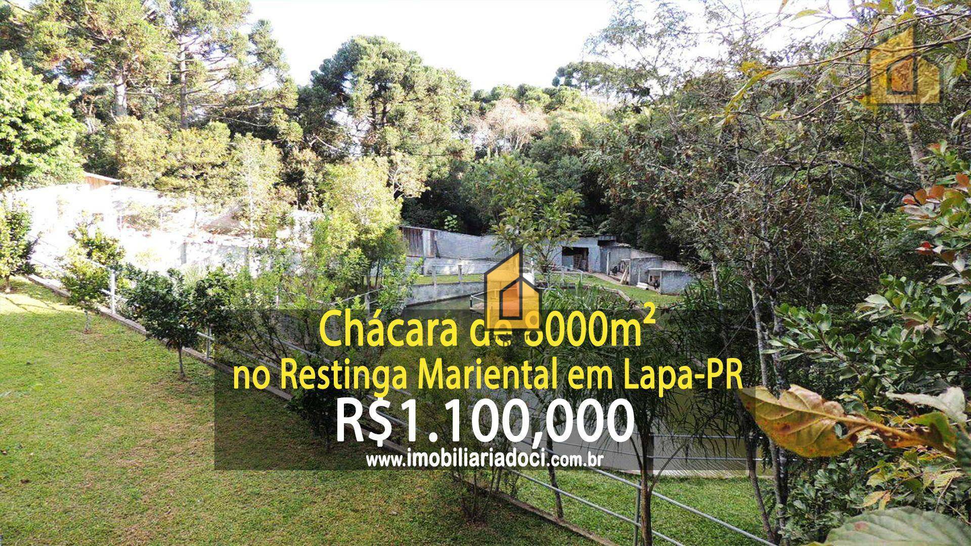 Chácara, 3 quartos, 8000 m² - Foto 1