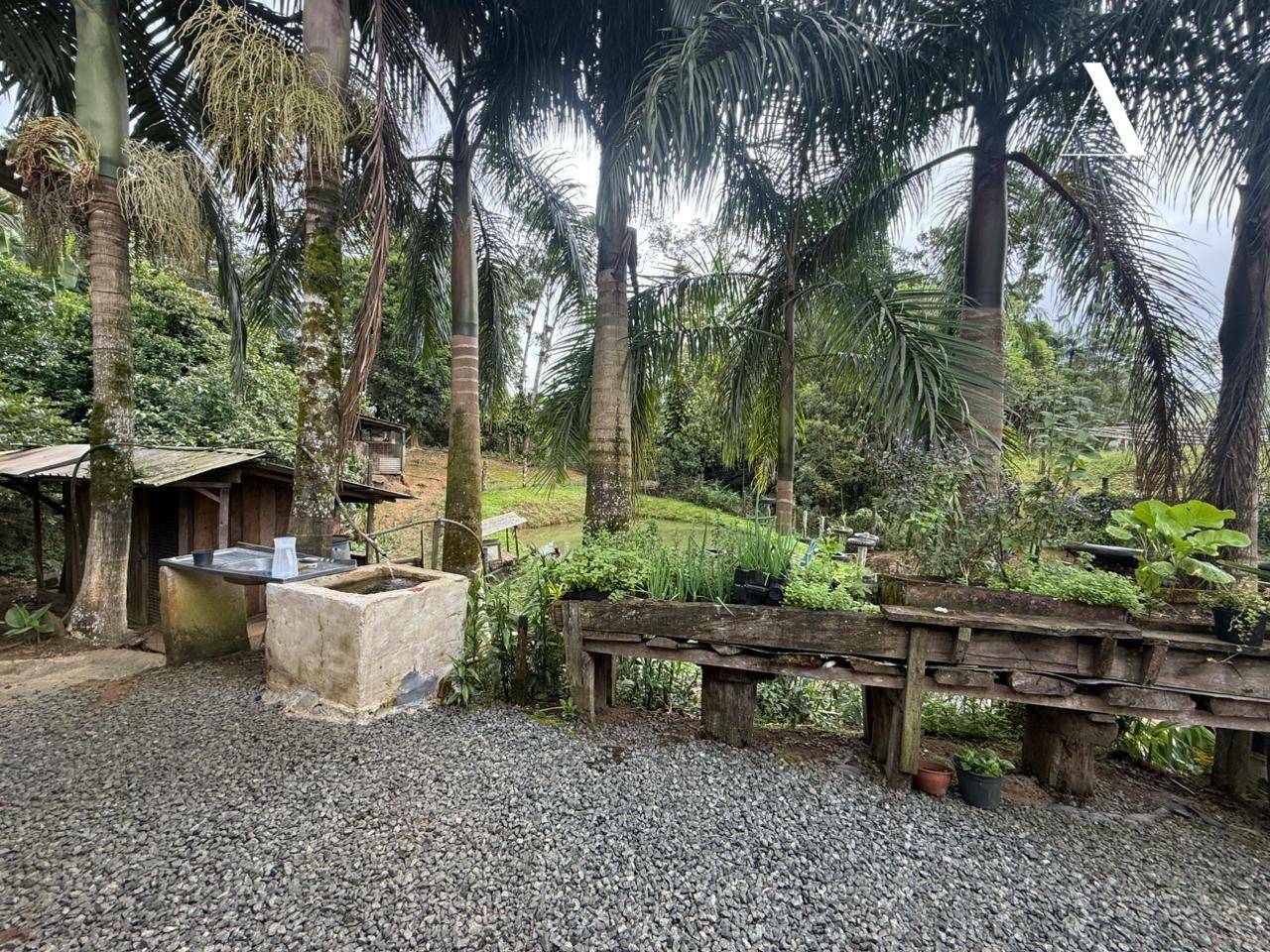 Loteamento e Condomínio, 3392 m² - Foto 2