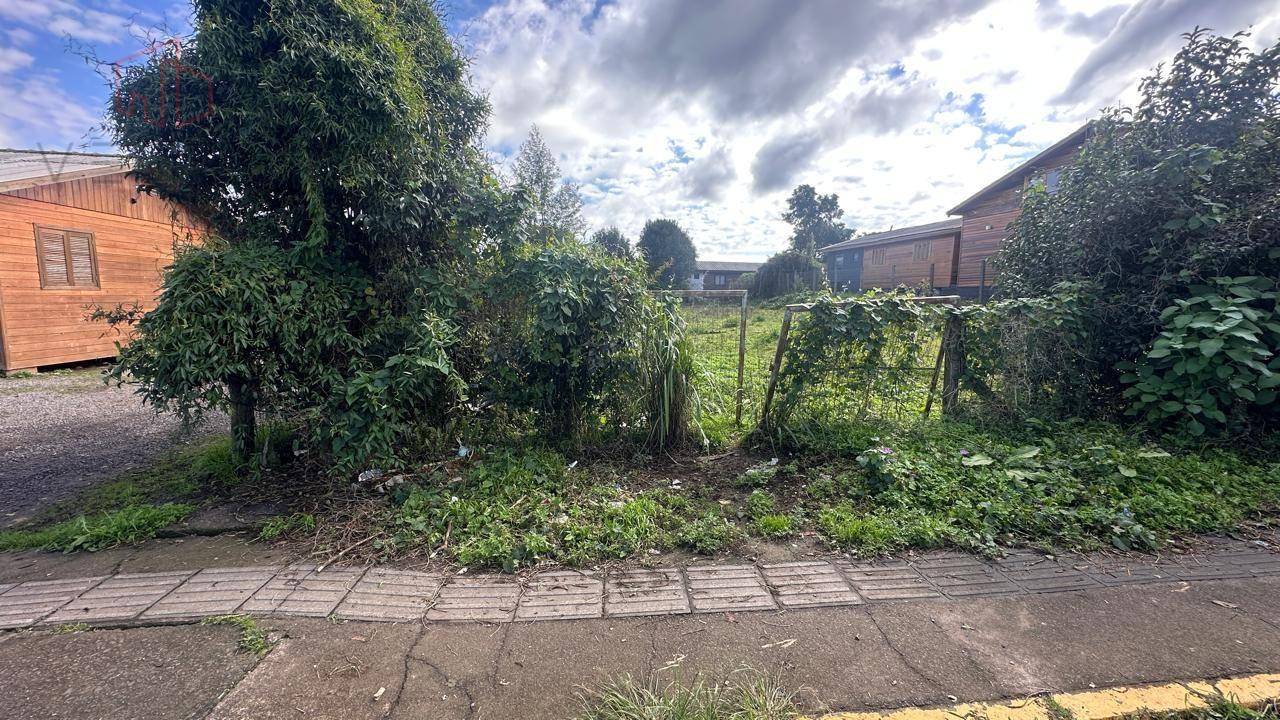 Terreno à venda, 680M2 - Foto 2