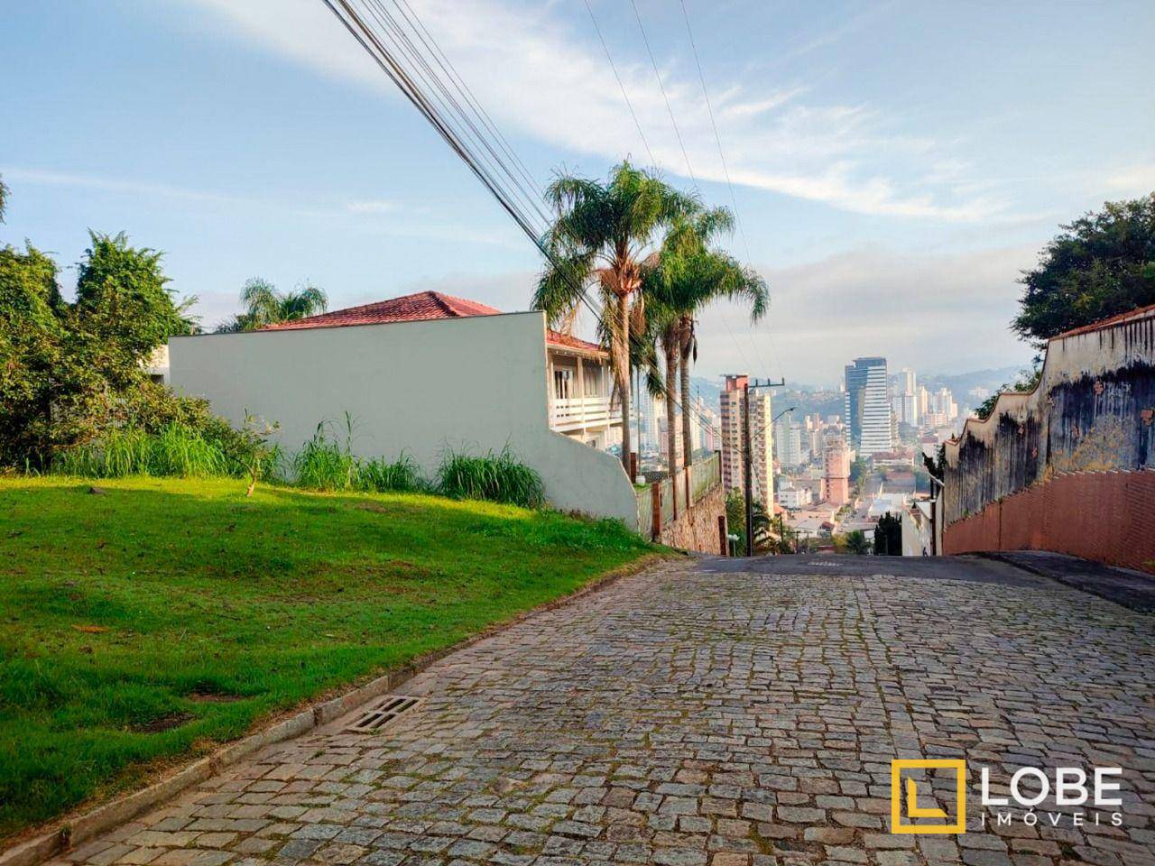 Terreno, 5236 m² - Foto 3