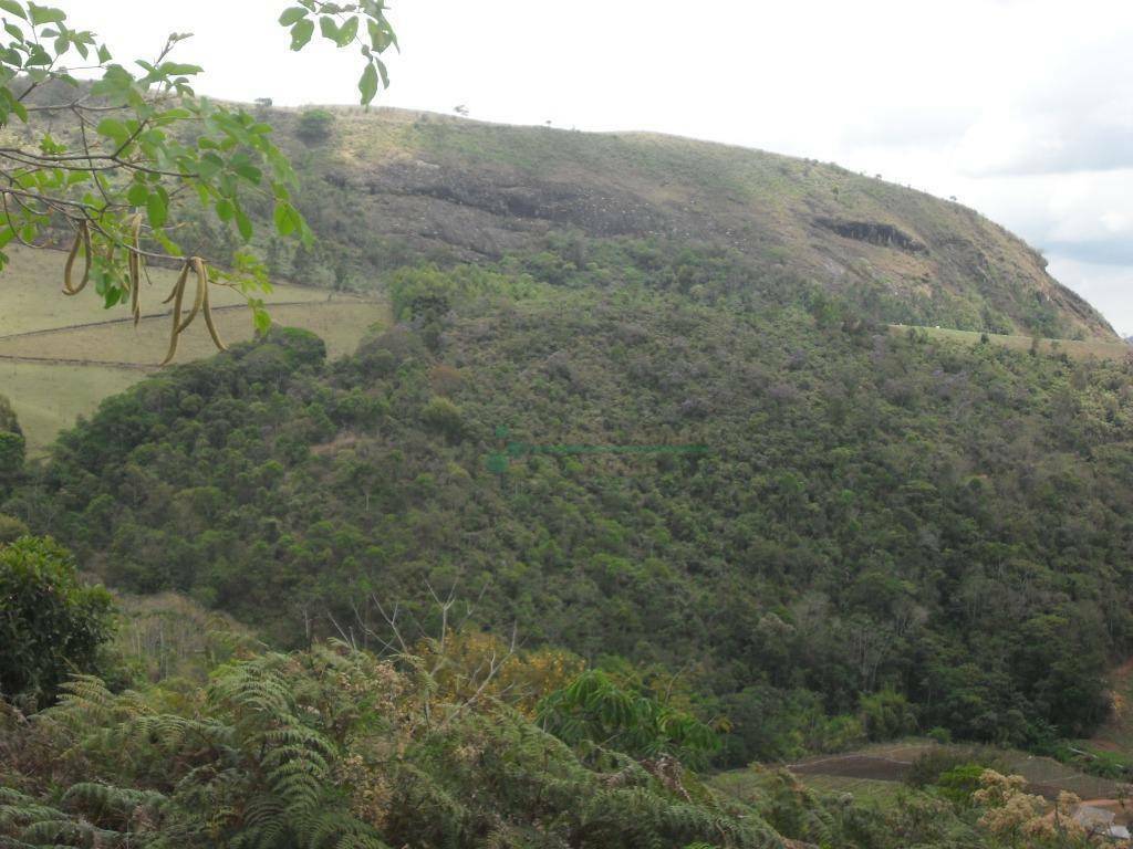 Loteamento e Condomínio à venda, 1024M2 - Foto 12