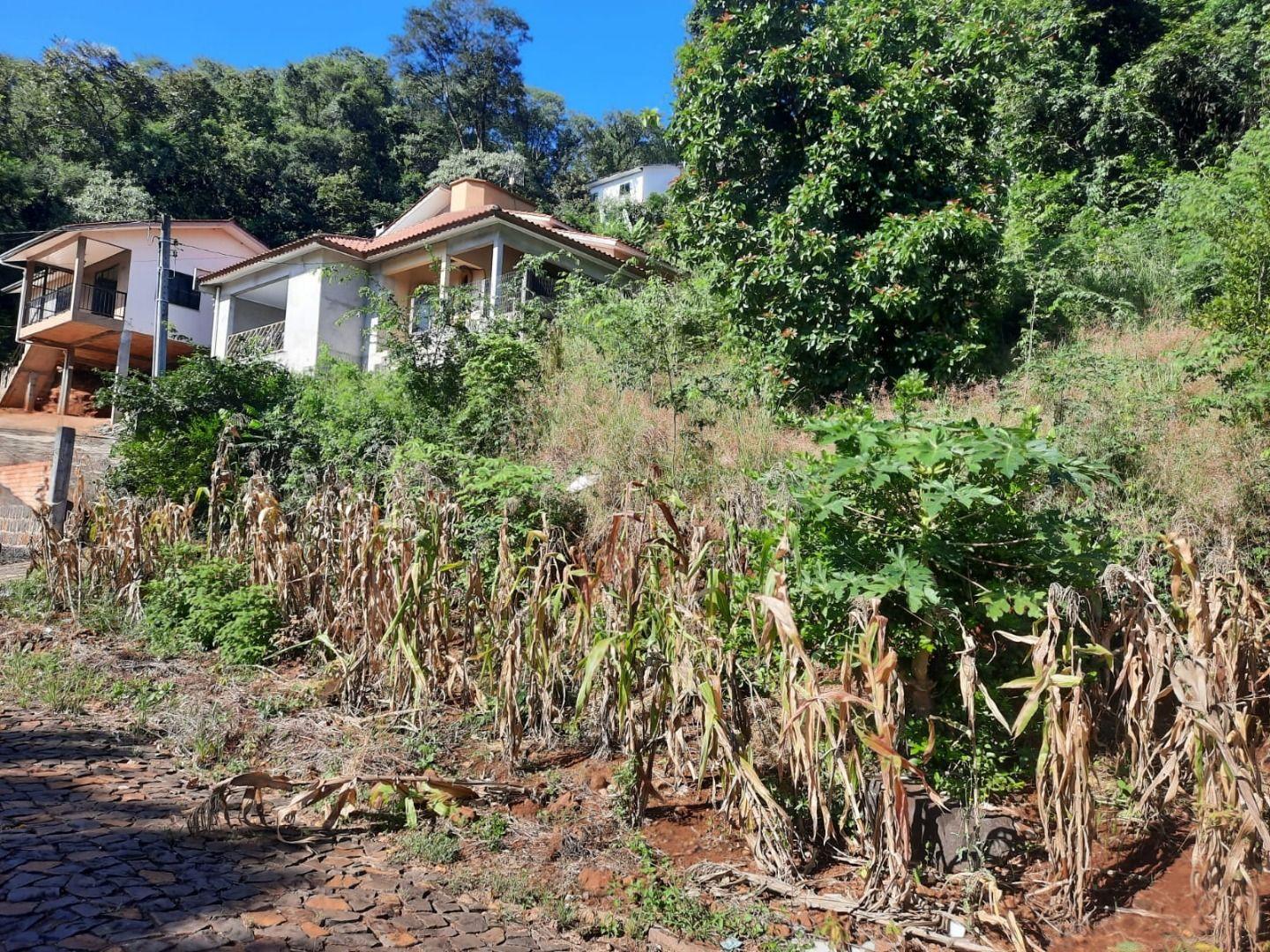 Terreno, 450 m² - Foto 14