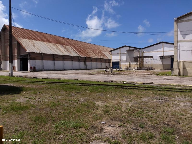 Depósito-Galpão-Armazém para alugar com 1 quarto, 10000m² - Foto 15