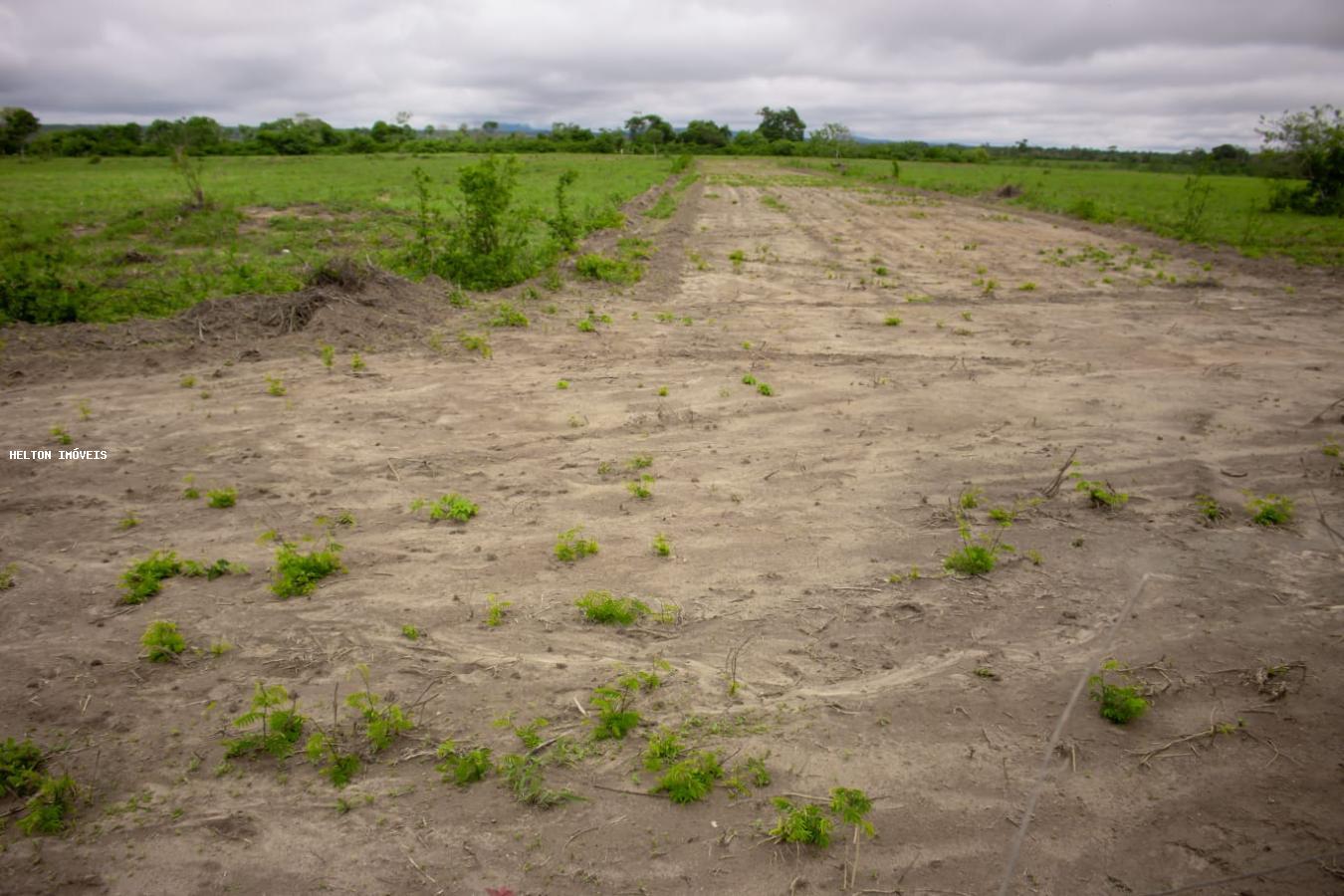 Fazenda à venda, 1000m² - Foto 12