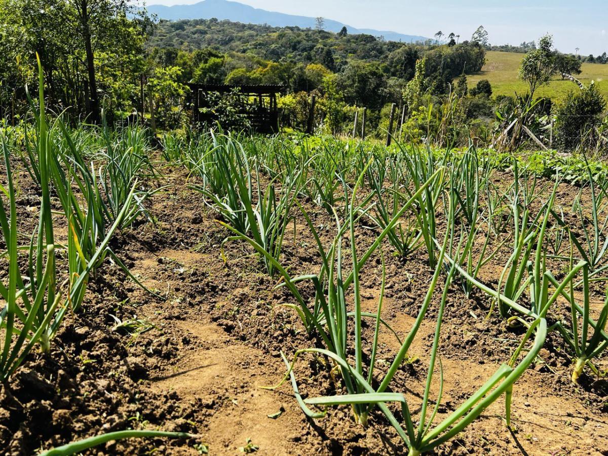 Fazenda à venda, 6300m² - Foto 48