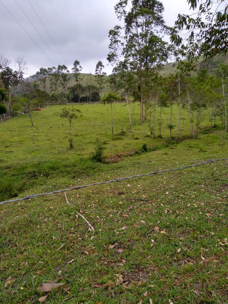 Fazenda à venda com 2 quartos, 120m² - Foto 5