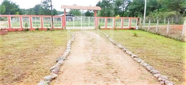 Chácara à venda com 3 quartos, 5000m² - Foto 17