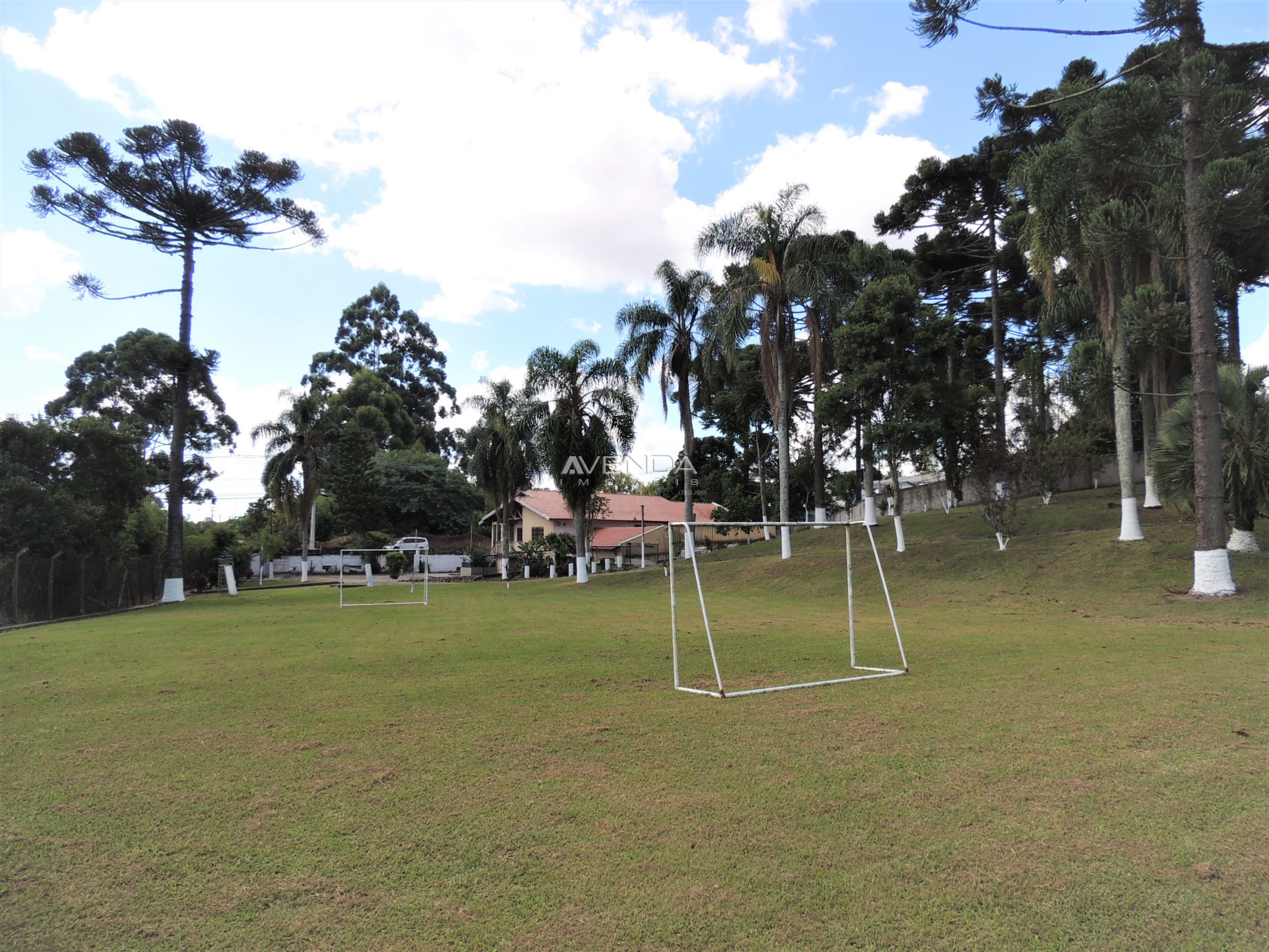 Fazenda à venda com 4 quartos, 1100m² - Foto 5