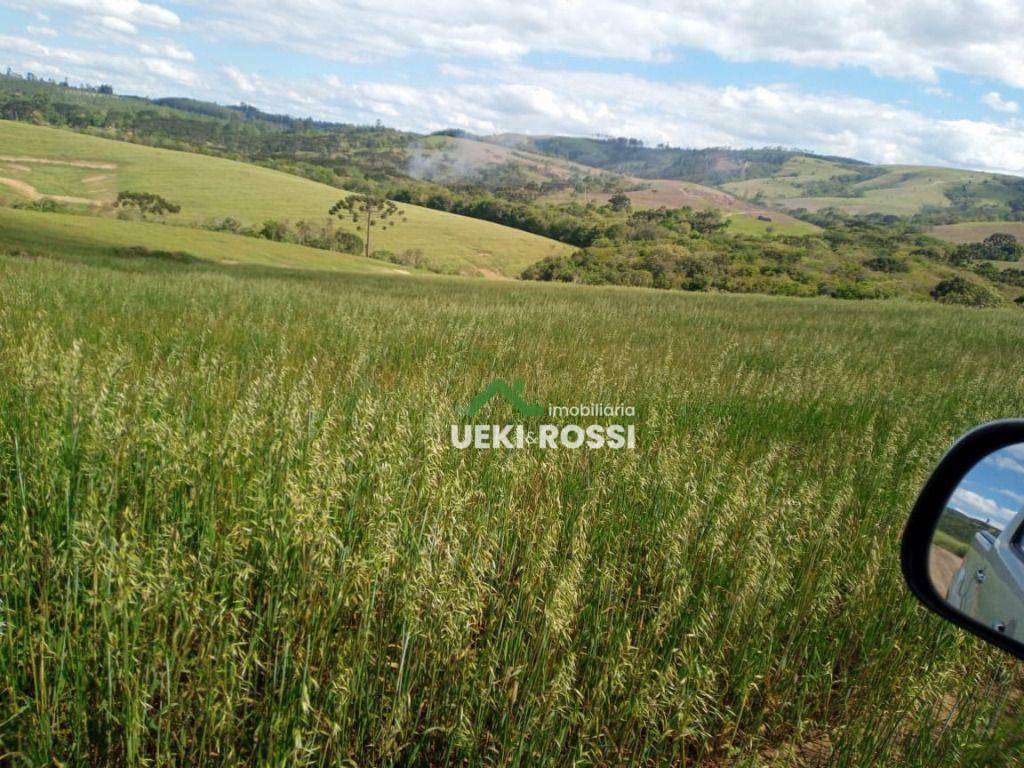 Fazenda à venda, 1089000M2 - Foto 6