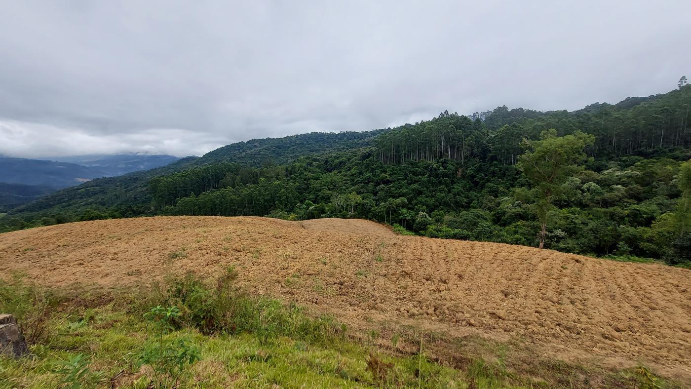 Fazenda à venda com 3 quartos, 260000m² - Foto 15