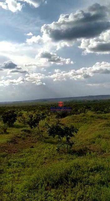 Fazenda à venda com 1 quarto, 17800000M2 - Foto 28