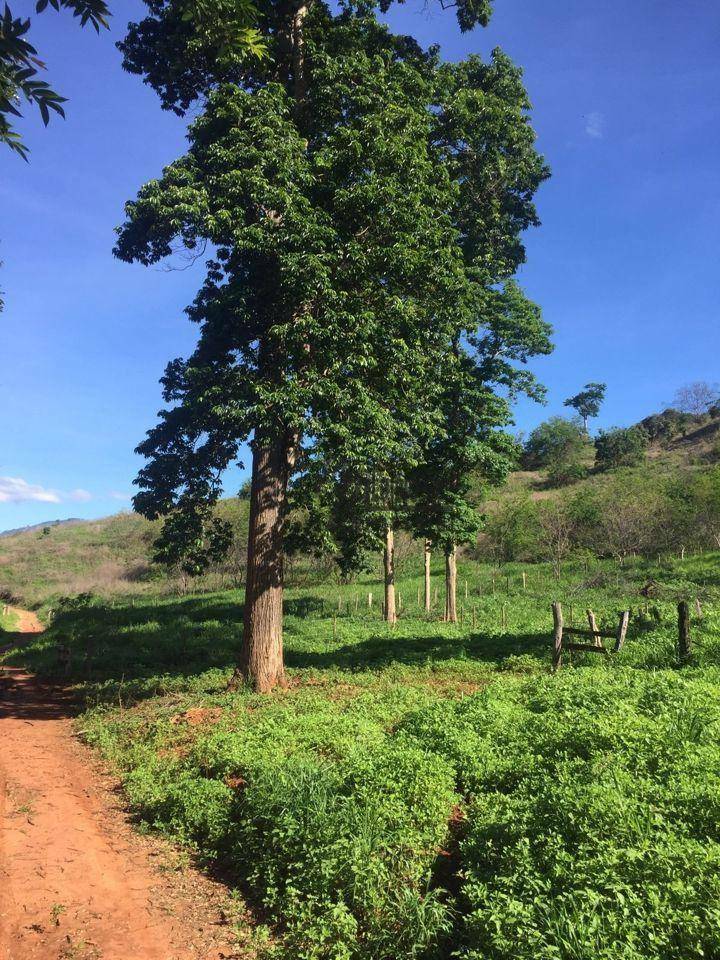 Fazenda à venda, 5469200M2 - Foto 60