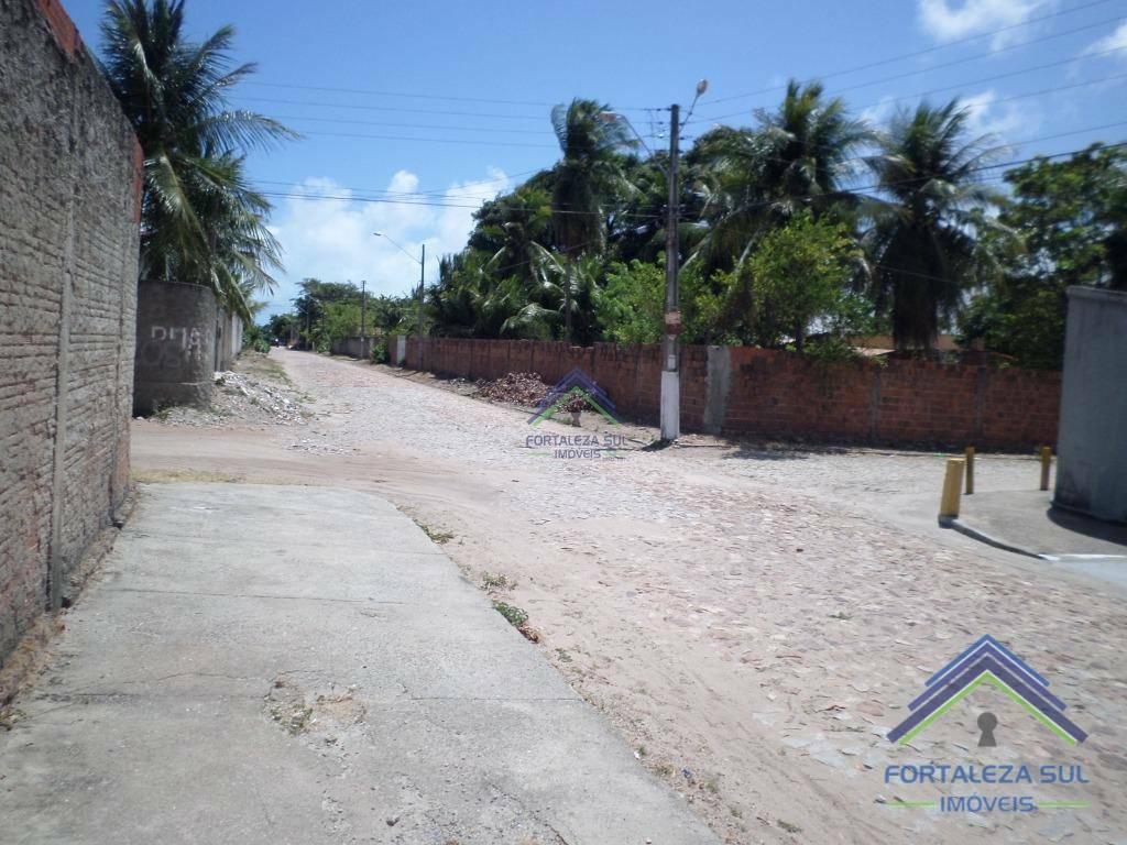 Sítio, 3 quartos, 1200 m² - Foto 5