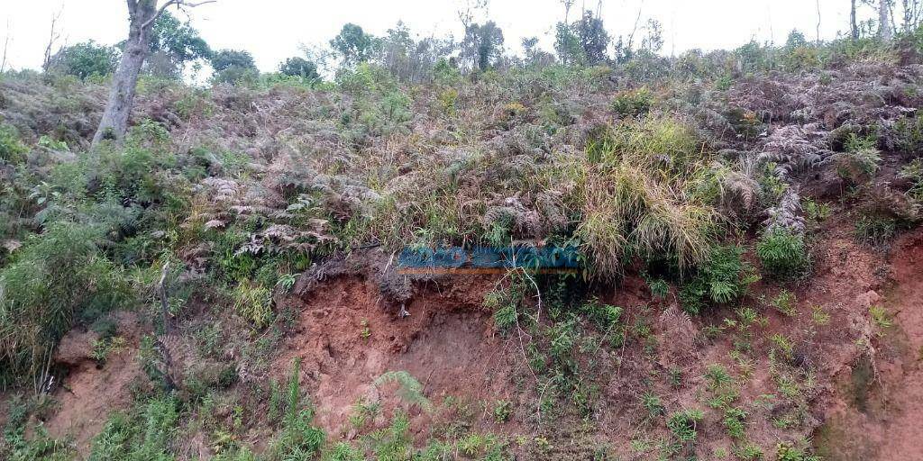 Terreno à venda, 1470M2 - Foto 3