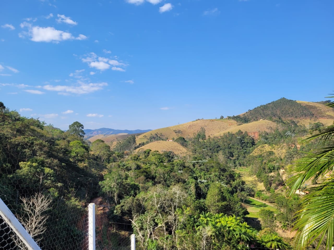 Terreno, 5 hectares - Foto 19