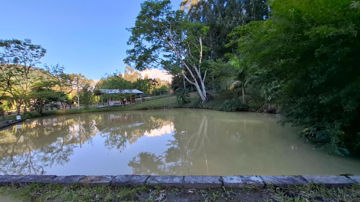 Fazenda à venda com 2 quartos, 8000m² - Foto 13