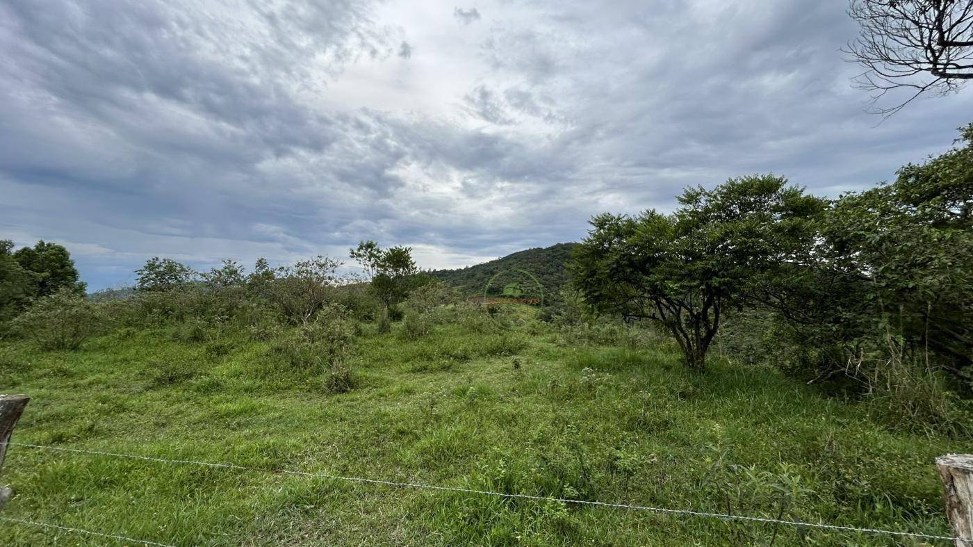 Terreno, 9 hectares - Foto 14