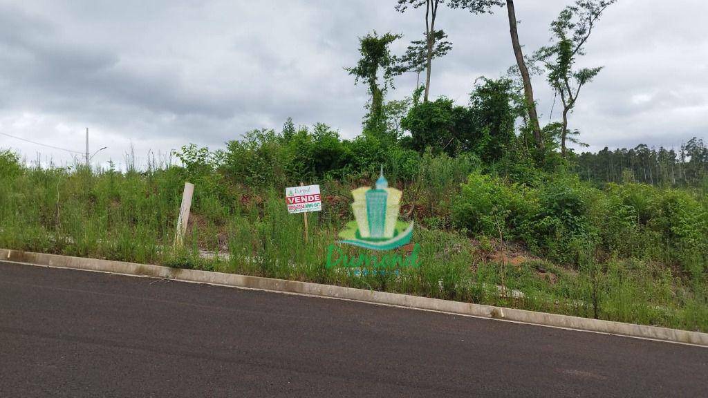 Terreno à venda, 240M2 - Foto 3