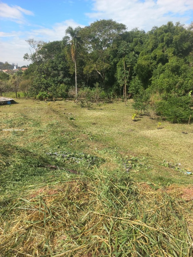 Terreno, 2642 m² - Foto 6